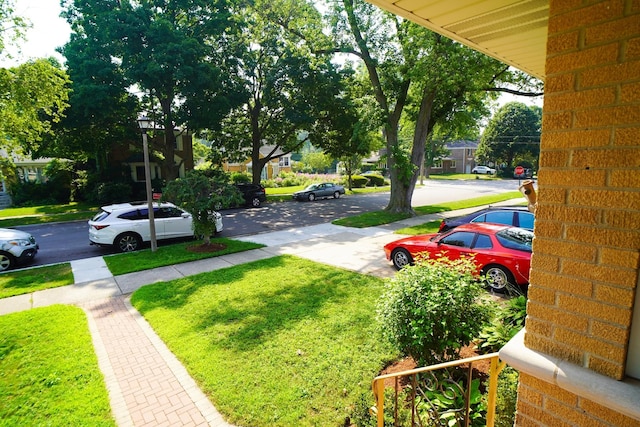 8110 Kenneth Ave, Skokie, IL 60076 - photo 35
