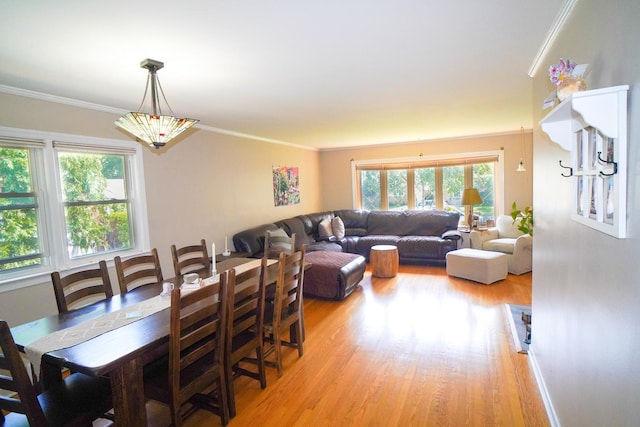 8110 Kenneth Ave, Skokie, IL 60076 - photo 7