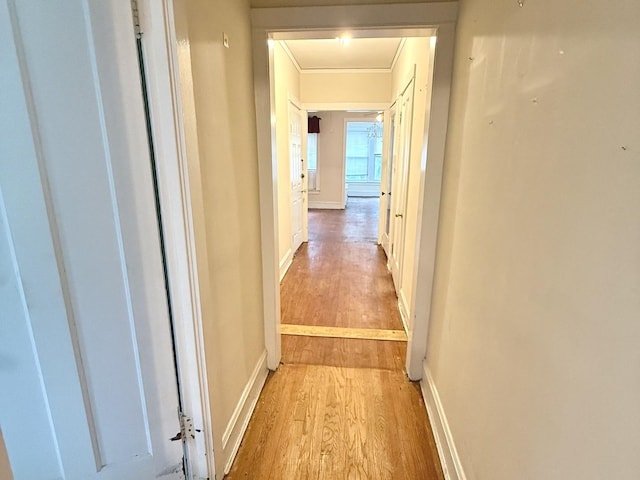 1406 W Hollywood Ave, Chicago, IL 60660 - photo 8