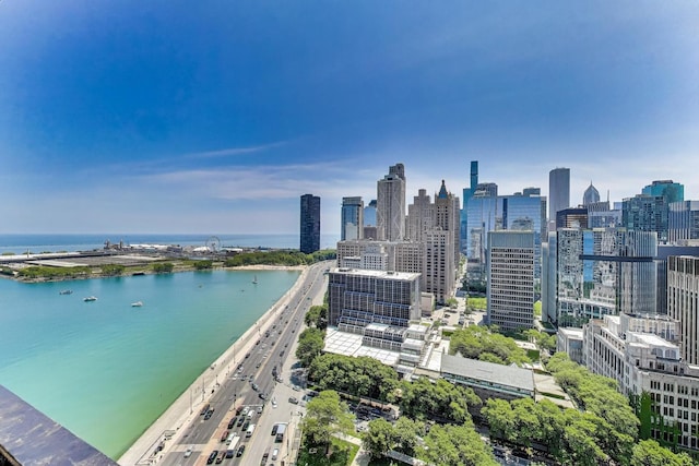 840 N Lake Shore Dr Unit 2401, Chicago, IL 60611 - photo 26