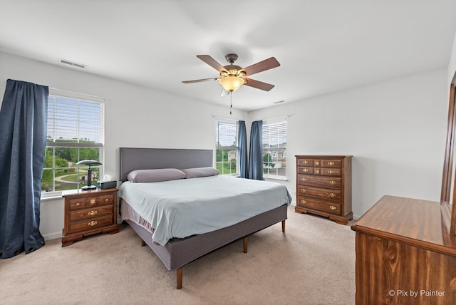 410 S Jade Ln, Round Lake, IL 60073 - photo 20