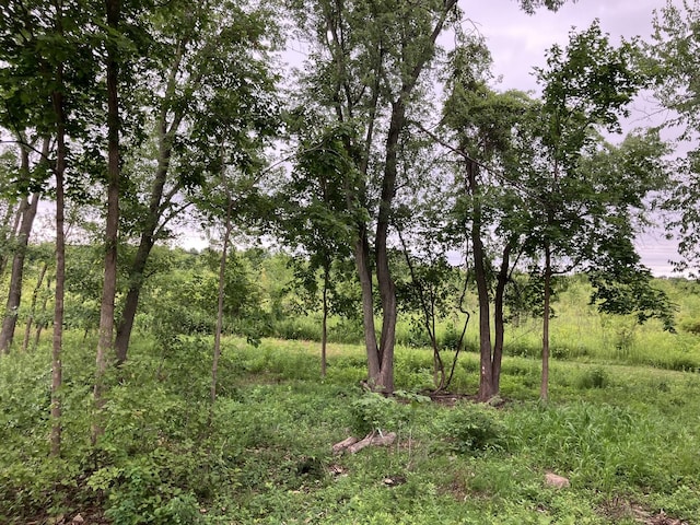 400 Tee Ln, Carpentersville, IL 60110 - photo 3