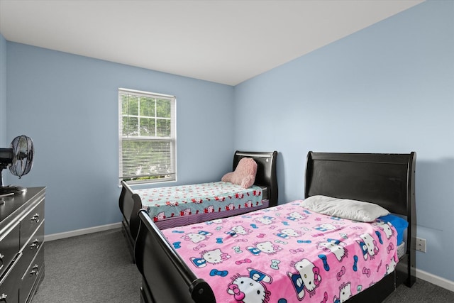 2117 Limestone Ln, Carpentersville, IL 60110 - photo 16