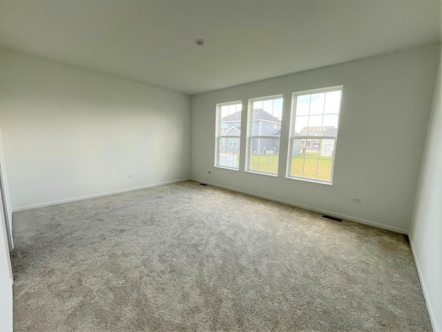 218 Rhinebeck Way, Algonquin, IL 60102 - photo 14