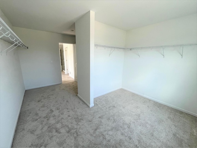 218 Rhinebeck Way, Algonquin, IL 60102 - photo 19