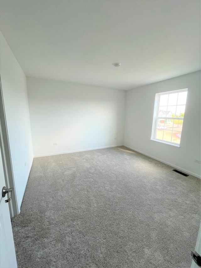 218 Rhinebeck Way, Algonquin, IL 60102 - photo 27