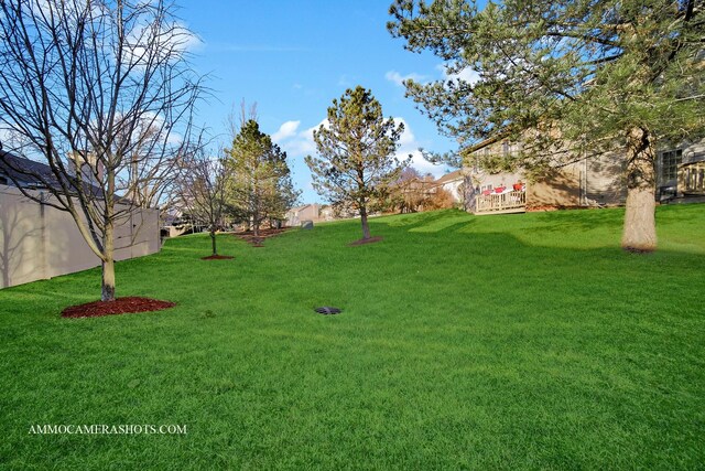 897 Dorsetshire Dr Unit 897, Crete, IL 60417 - photo 30