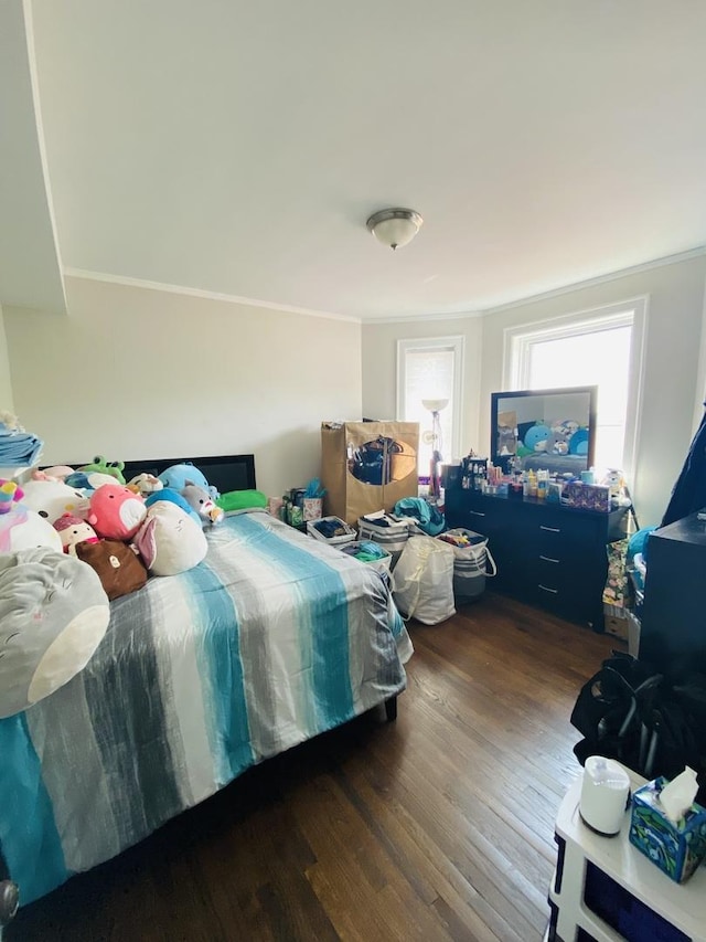4935 Louise St, Skokie, IL 60077 - photo 17