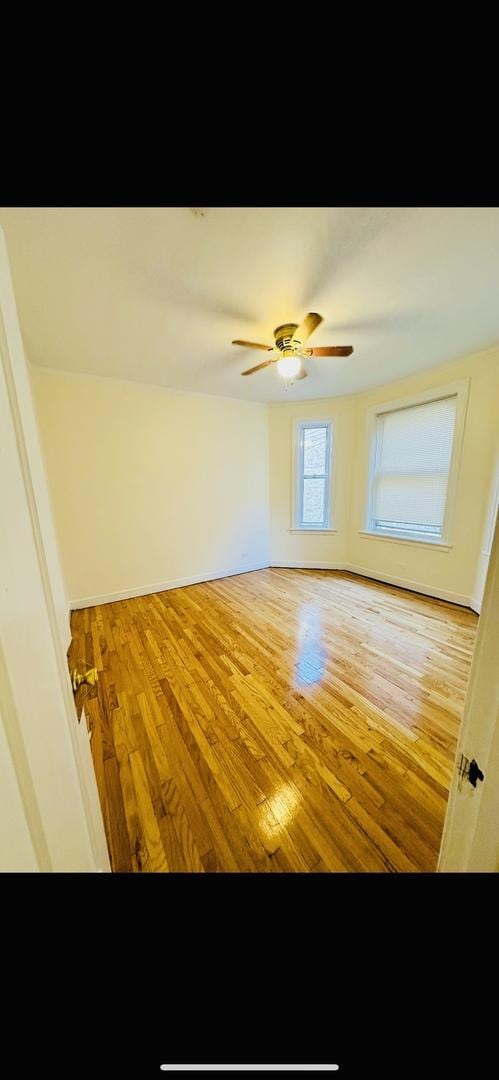 4935 Louise St, Skokie, IL 60077 - photo 4