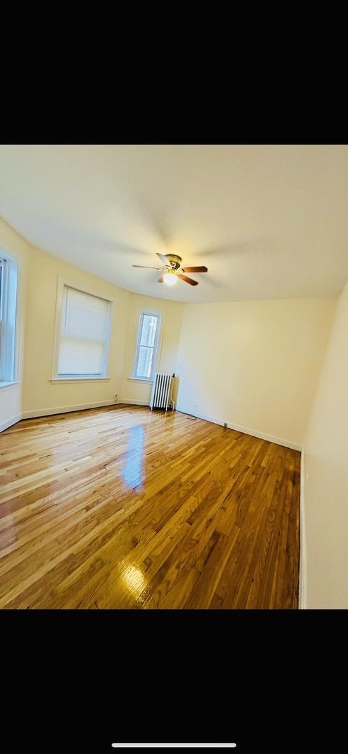 4935 Louise St, Skokie, IL 60077 - photo 5