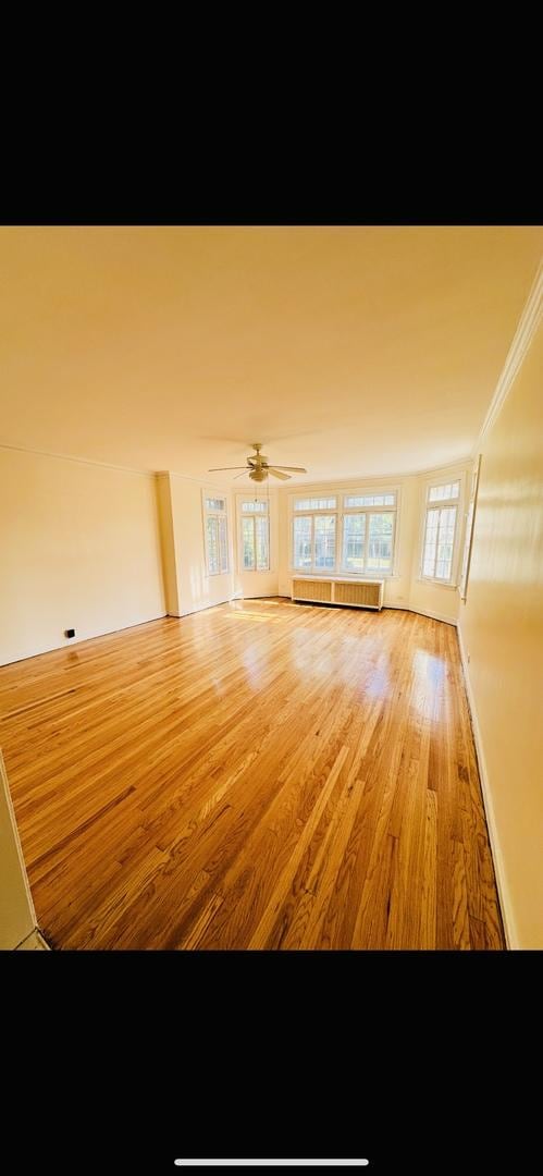 4935 Louise St, Skokie, IL 60077 - photo 7