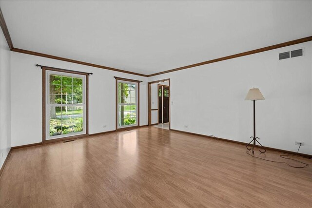 1016 Muirhead Ave, Naperville, IL 60565 - photo 5
