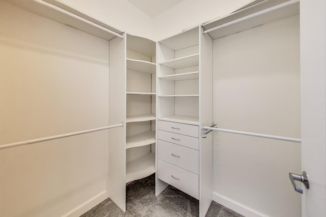 1841 S Calumet Ave Unit 1602, Chicago, IL 60616 - photo 10