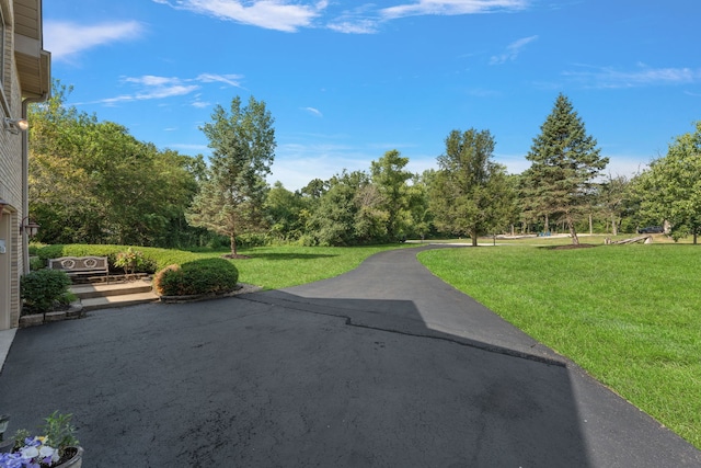 21211 Lisa Ln, Steger, IL 60475 - photo 46