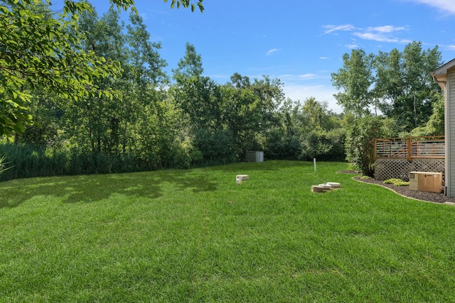21211 Lisa Ln, Steger, IL 60475 - photo 50