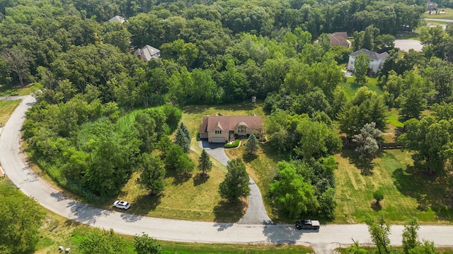 21211 Lisa Ln, Steger, IL 60475 - photo 55