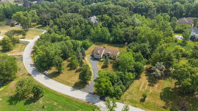 21211 Lisa Ln, Steger, IL 60475 - photo 61