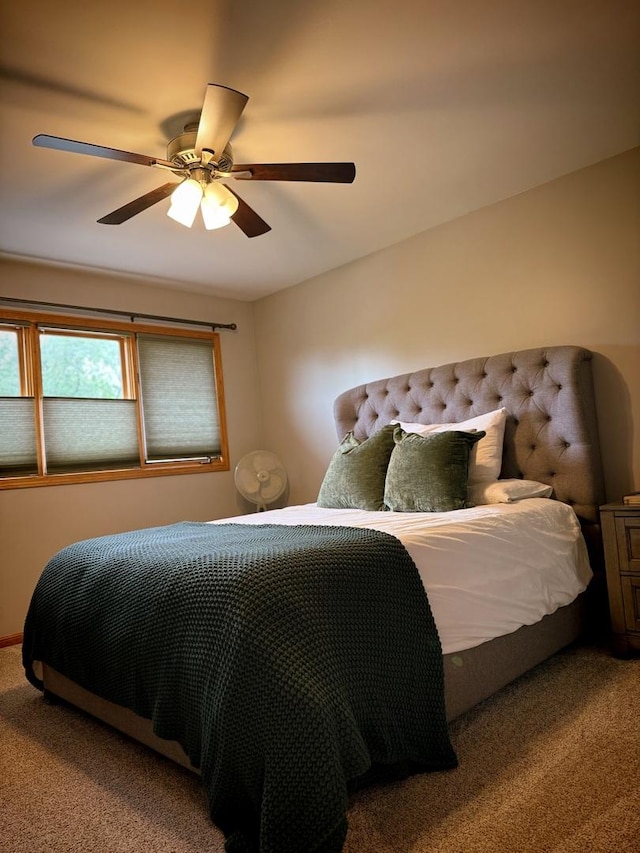 215 Shea Ct Unit 215, Flossmoor, IL 60422 - photo 16