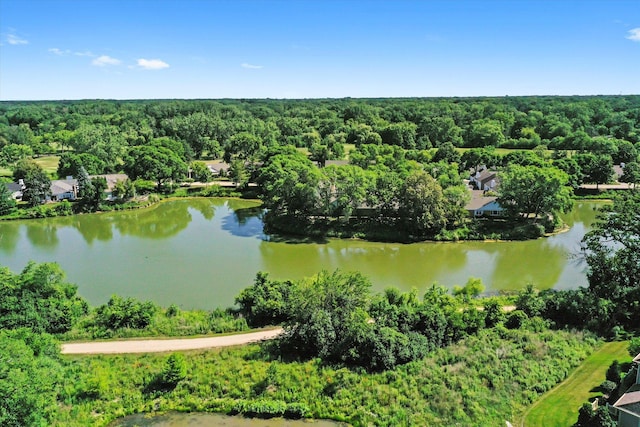 117 Rivershire Ln, Lincolnshire, IL 60069 - photo 58