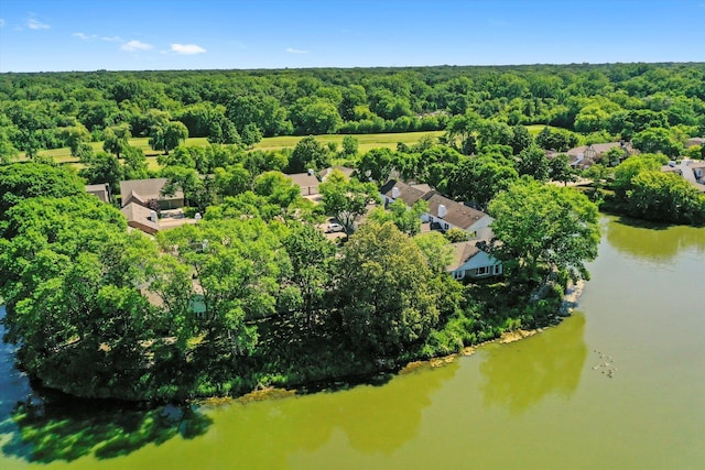 117 Rivershire Ln, Lincolnshire, IL 60069 - photo 59
