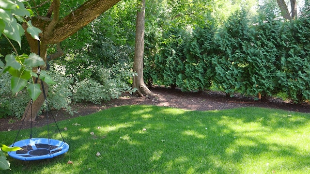 253 E Ellis Ave, Libertyville, IL 60048 - photo 22
