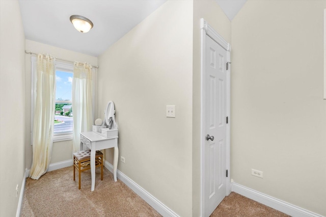 117 E Francis Rd, New Lenox, IL 60451 - photo 26