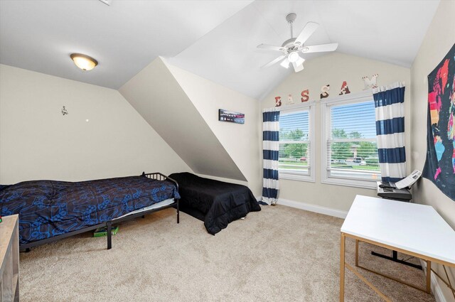 117 E Francis Rd, New Lenox, IL 60451 - photo 28