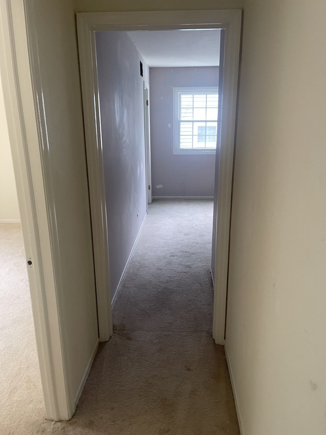 4003 Cumnor Rd, Downers Grove, IL 60515 - photo 26