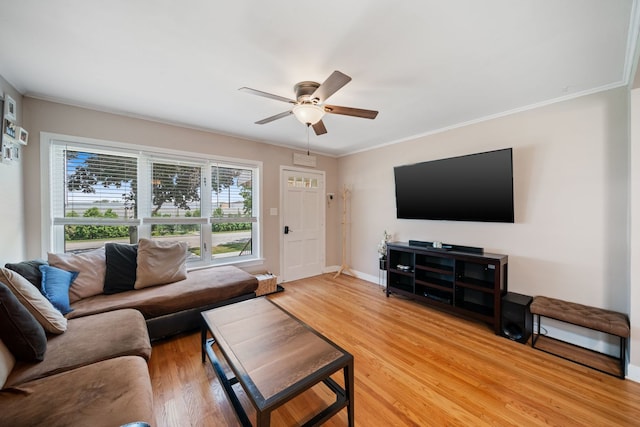 2312 W St, River Grove, IL 60171 - photo 5