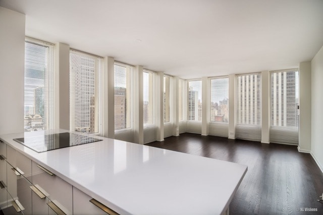 100 E Walton St Unit 22H, Chicago, IL 60611 - photo 5
