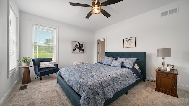 10878 Waterford Cir, Belvidere, IL 61008 - photo 46