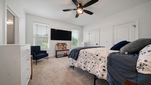 10878 Waterford Cir, Belvidere, IL 61008 - photo 51