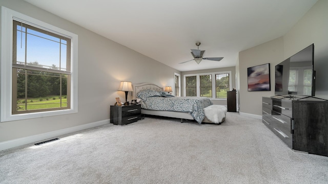 10878 Waterford Cir, Belvidere, IL 61008 - photo 10