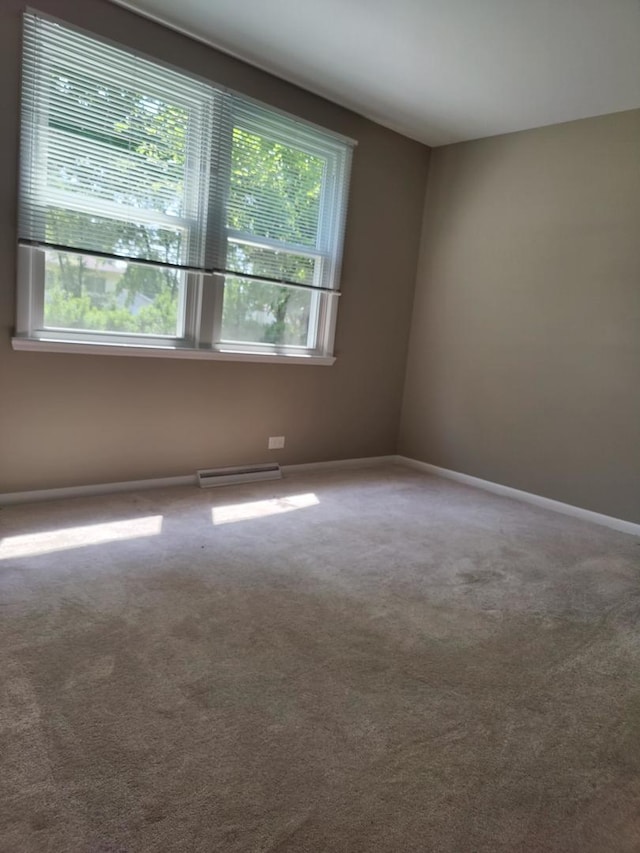412 S Cedar St, Palatine, IL 60067 - photo 15