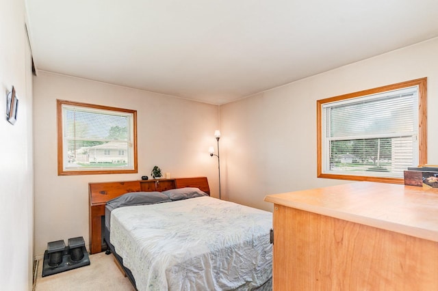 802 Pearson Dr, Joliet, IL 60435 - photo 9