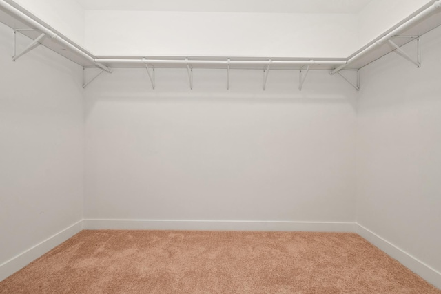 11811 Old Spanish Trl, Orland Park, IL 60467 - photo 22
