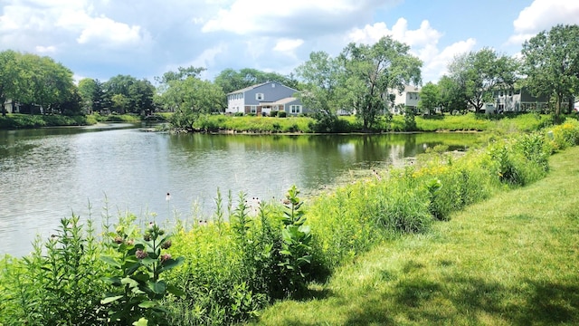 1114 Hampton Hbr, Schaumburg, IL 60193 - photo 16