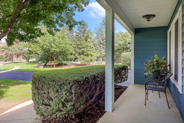 13360 Vicky St, Plainfield, IL 60585 - photo 29