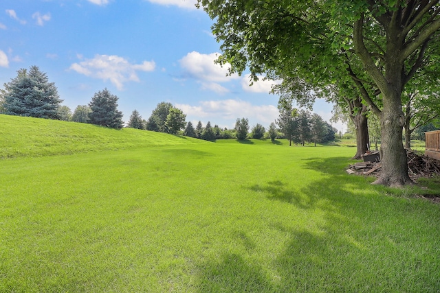 13360 Vicky St, Plainfield, IL 60585 - photo 4