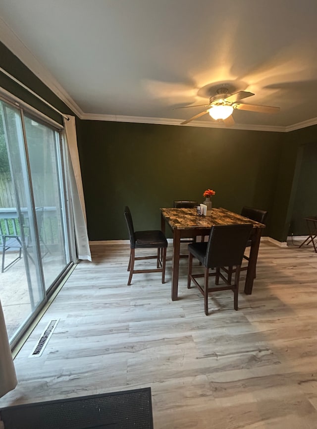 1119 S Curtis Ave, Kankakee, IL 60901 - photo 5