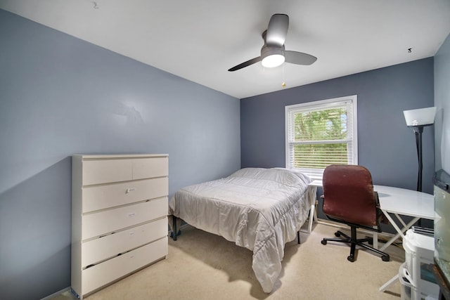 486 Hiawatha Dr, Carol Stream, IL 60188 - photo 17