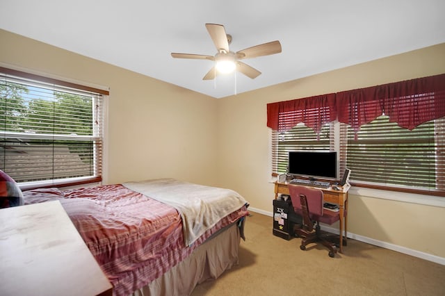 486 Hiawatha Dr, Carol Stream, IL 60188 - photo 19