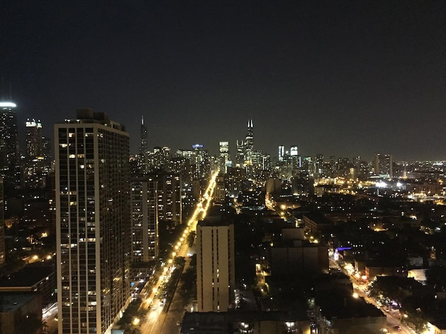 1660 N La Salle Dr Unit 2910, Chicago, IL 60614 - photo 24