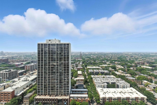1660 N La Salle Dr Unit 2910, Chicago, IL 60614 - photo 10