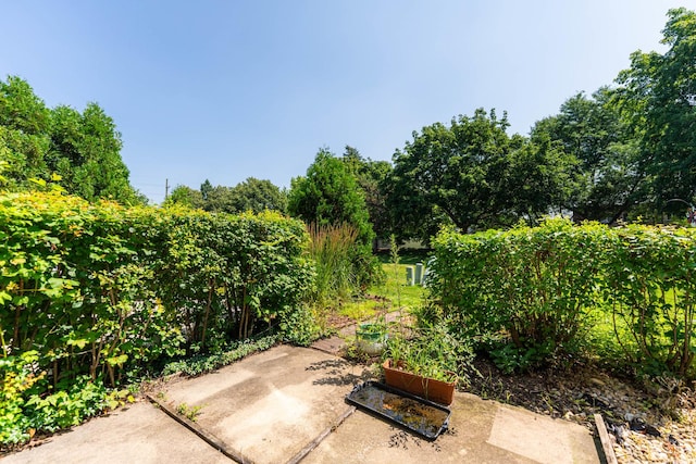 1217 Cranbrook Dr, Schaumburg, IL 60193 - photo 21