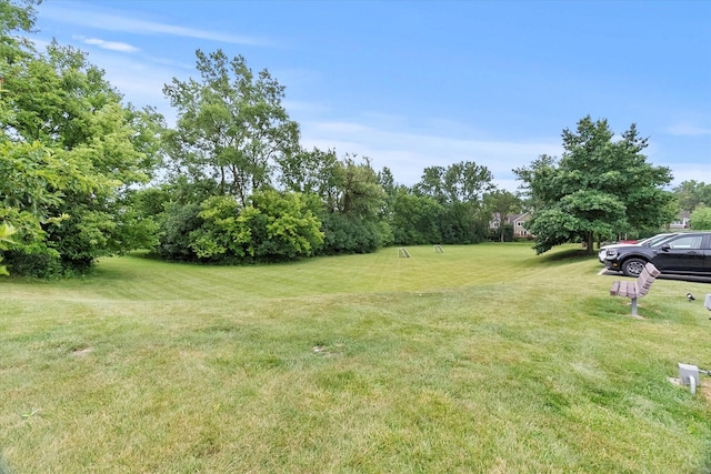 7221 Wolf Rd Unit 405B, Indian Head Park, IL 60525 - photo 22