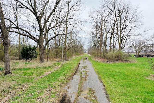 109 W S Park St, Thawville, IL 60968 - photo 4