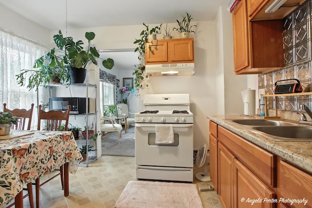 419 N Ash St N, Waukegan, IL 60085 - photo 14