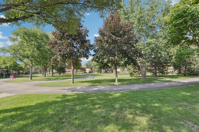 1119 E Algonquin Rd Unit 7, Arlington Heights, IL 60005 - photo 9