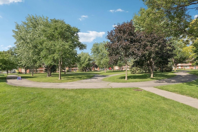 1119 E Algonquin Rd Unit 7, Arlington Heights, IL 60005 - photo 10